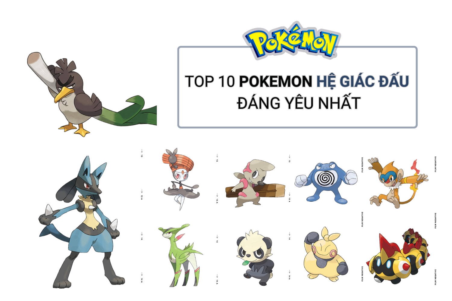 TOP 10 POKEMON HỆ GIÁC ĐẤU ĐÁNG YÊU NHẤT